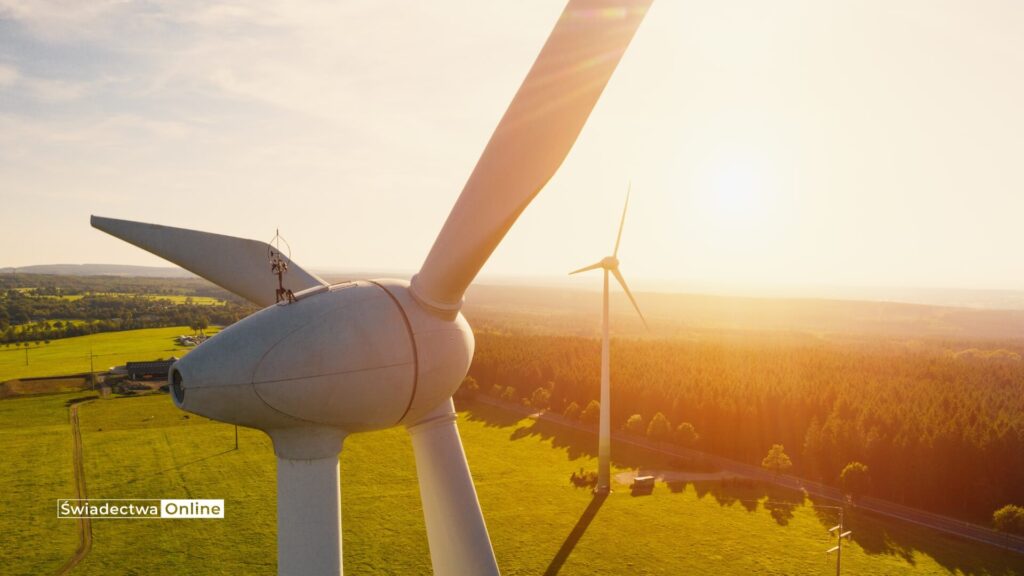 czym są przydomowe elektrownie wiatrowe