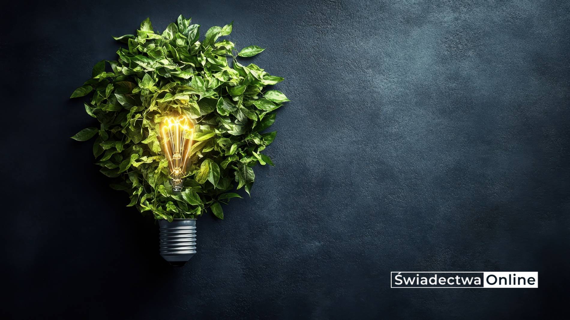 Świadectwo energetyczne Chełm